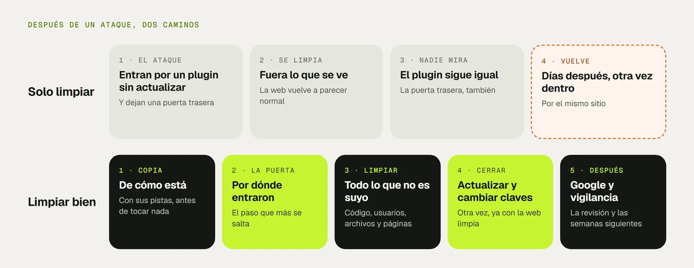 Dos caminos después de un ataque. Solo limpiar: entran por un plugin sin actualizar, se quita el código que se ve, el plugin y la puerta trasera siguen igual y días después vuelven a entrar. Limpiar bien: una copia de cómo está, encontrar por dónde entraron, quitar todo lo que no es suyo, actualizar y cambiar las contraseñas, y pedir la revisión a Google y vigilar la web.